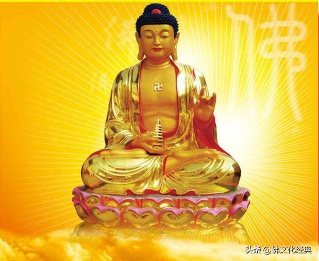 五蕴皆空，生肖之谜的前沿解读与现实应用