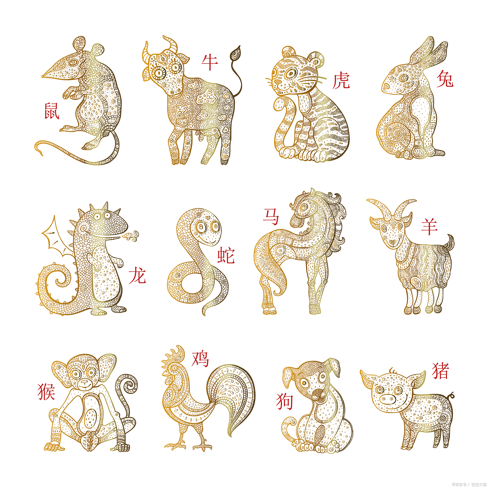 探索空心老大打一生肖的奥秘，一场文化与智慧的搜索之旅