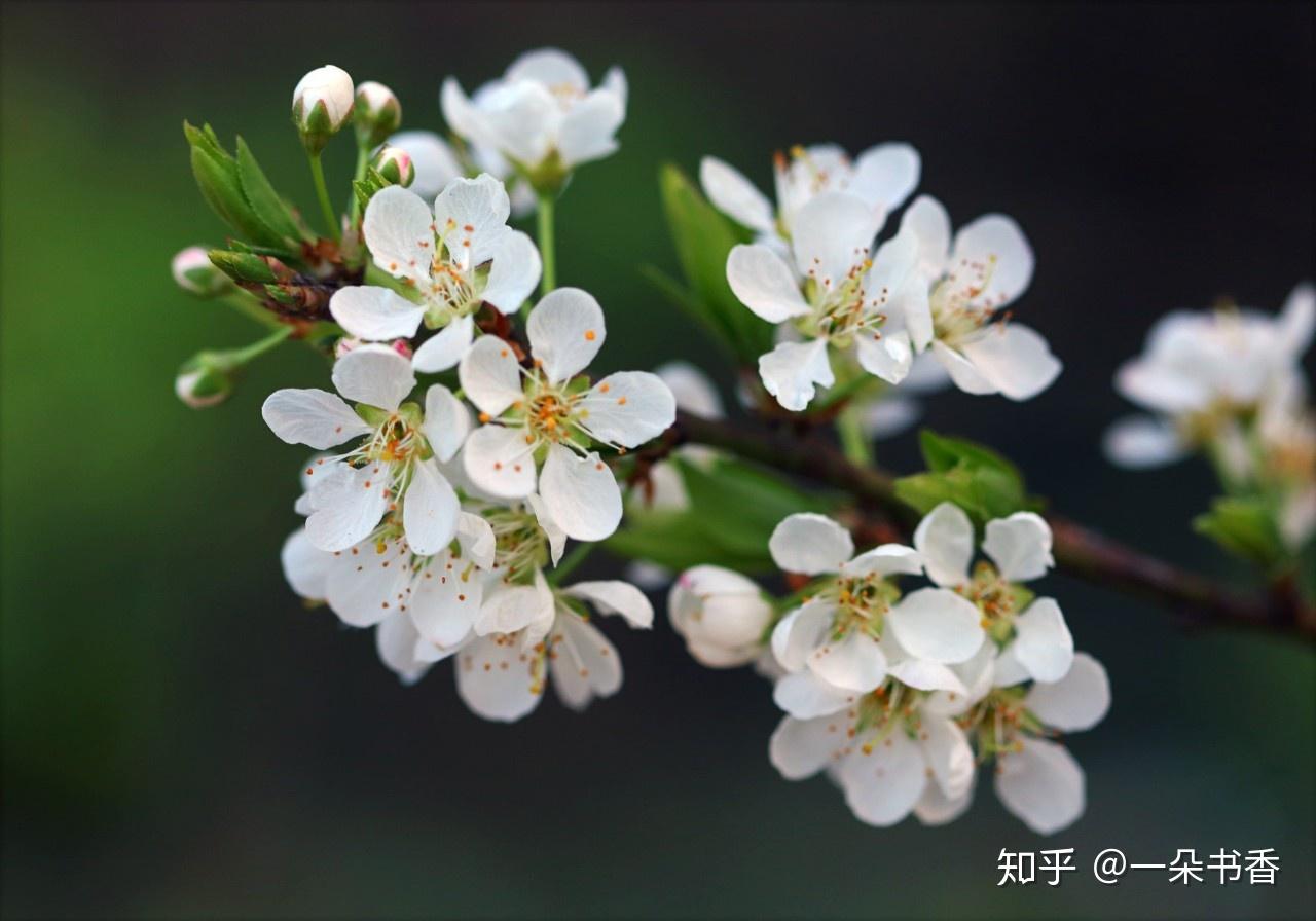 一见如故打一生肖、最新发布解释落实