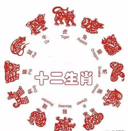 骑虎难下,权威揭晓与生肖的奇妙联系 骑虎难下,权威揭晓与生肖的奇妙联系