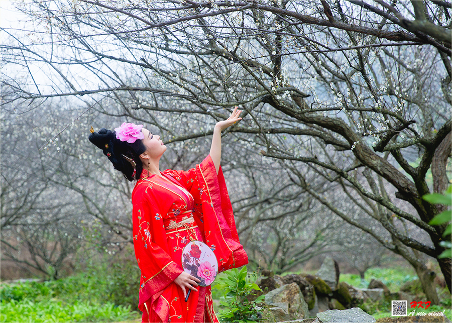梅花美女与生肖之谜,一场神秘的文化解读 梅花美女与生肖之谜,一场神秘的文化解读