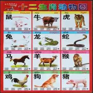 手无寸铁代表什么生肖、绝佳作答落实解释