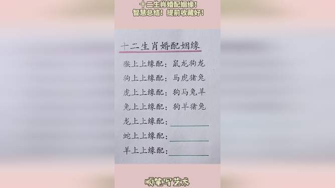 曲高和寡，生肖之谜与学习作答的智慧