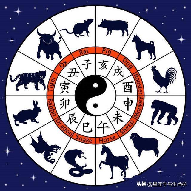 痴呆懵懂，探寻生肖背后的科学奥秘