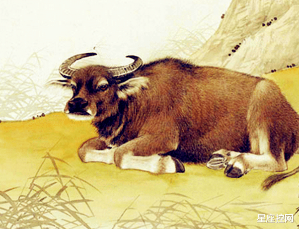 如履平地是什么生肖:第一解答落实