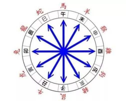 中宫一孤定一格是什么生肖、继续解释落实