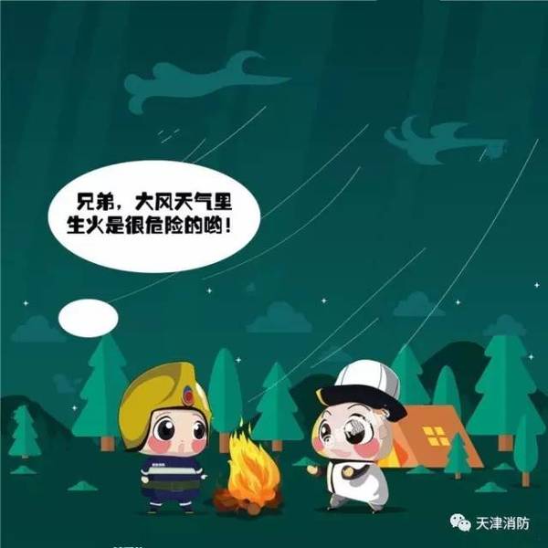 水火无情打一生肖、全面解答与解释