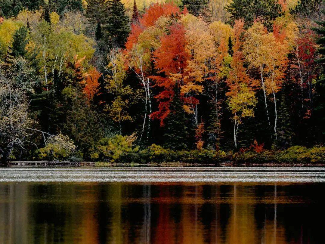 平分秋色与生肖之谜,一场智慧与趣味的探索 平分秋色与生肖之谜,一场智慧与趣味的探索