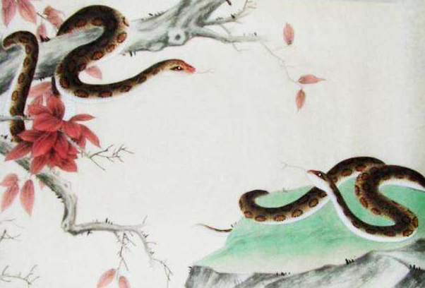 反咬一口，揭秘生肖中的蛇