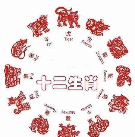 神州大地谜语解，生肖之谜即将揭晓