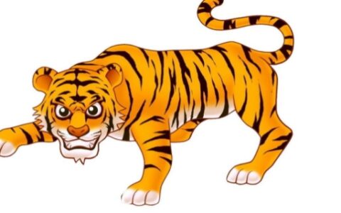 明争暗斗是什么生肖?无限作答落实解释