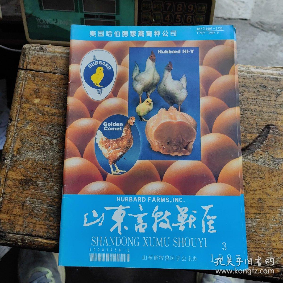 山东畜牧兽医杂志，全面揭晓与解释落实的深度剖析