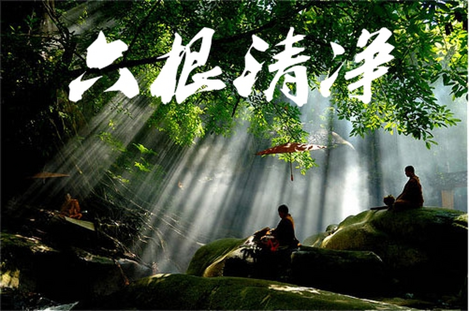 六根未净，探寻生肖背后的文化寓意