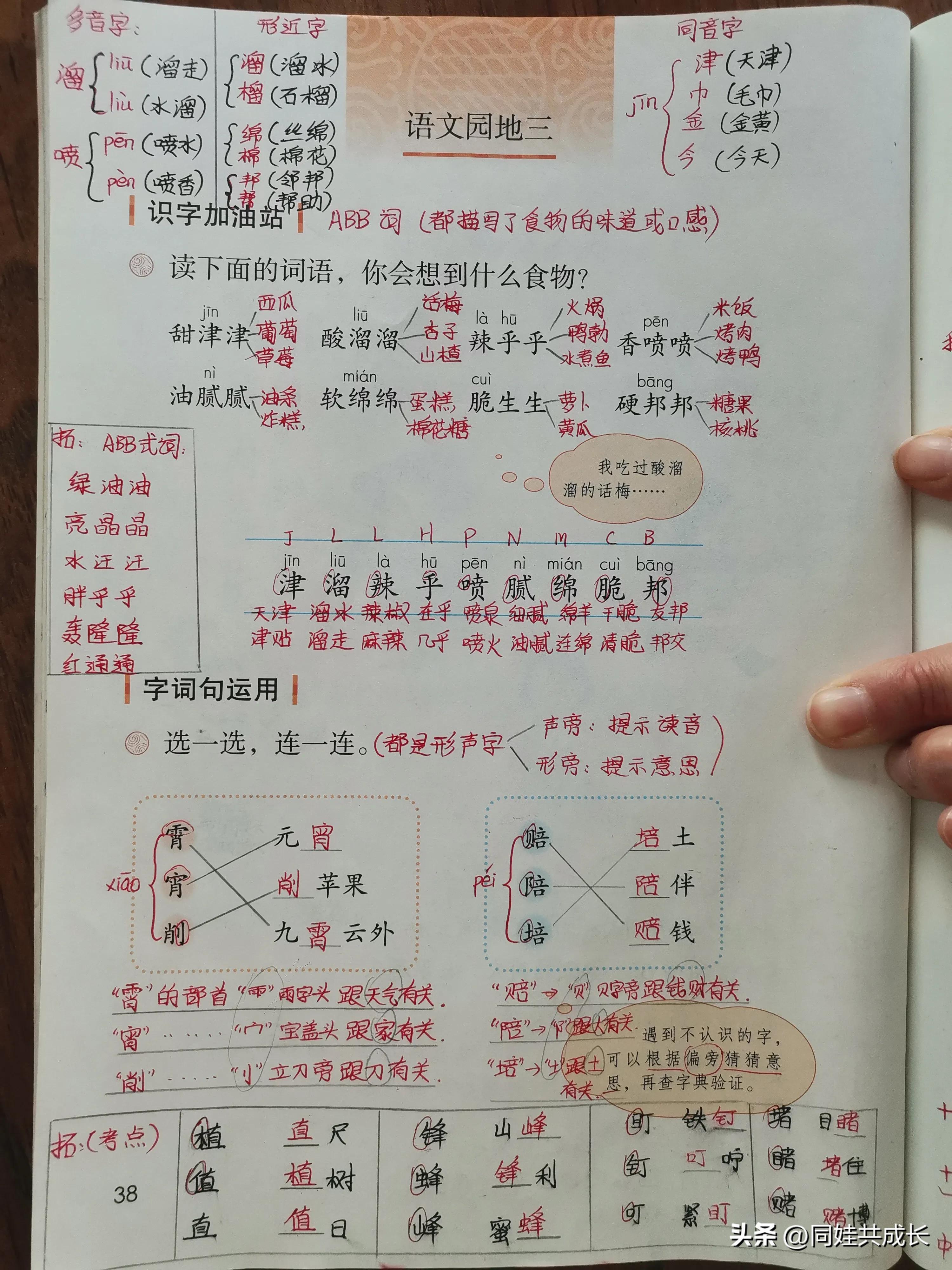 探秘南征北战，揭秘生肖背后的故事