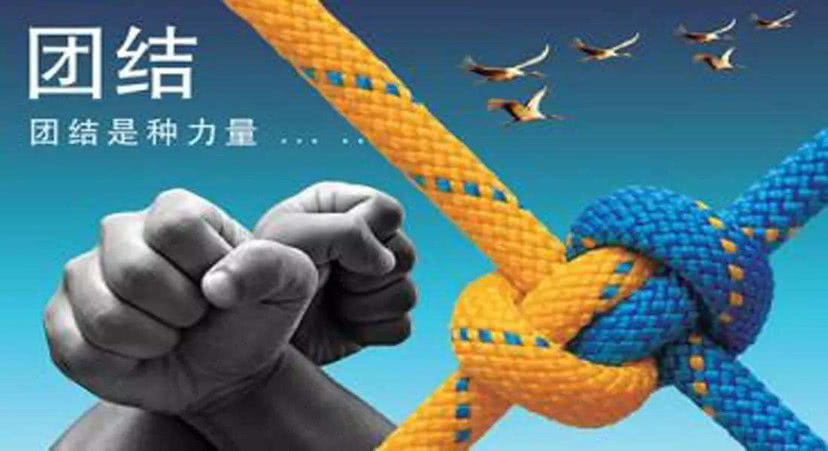 数不胜数是什么生肖、团结解释落实