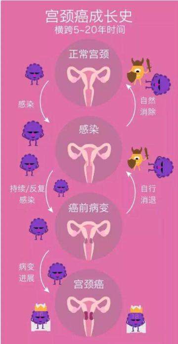 钻冰求火开过什么生肖、全面解答与解释