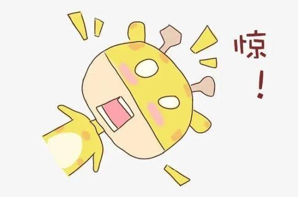 胆大包天打一生肖、通用解释落实