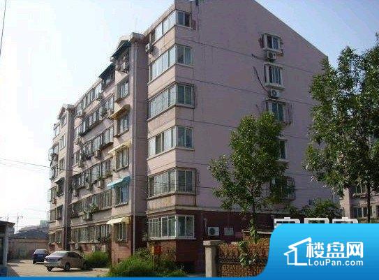 小康人家，探寻答案背后的生肖智慧