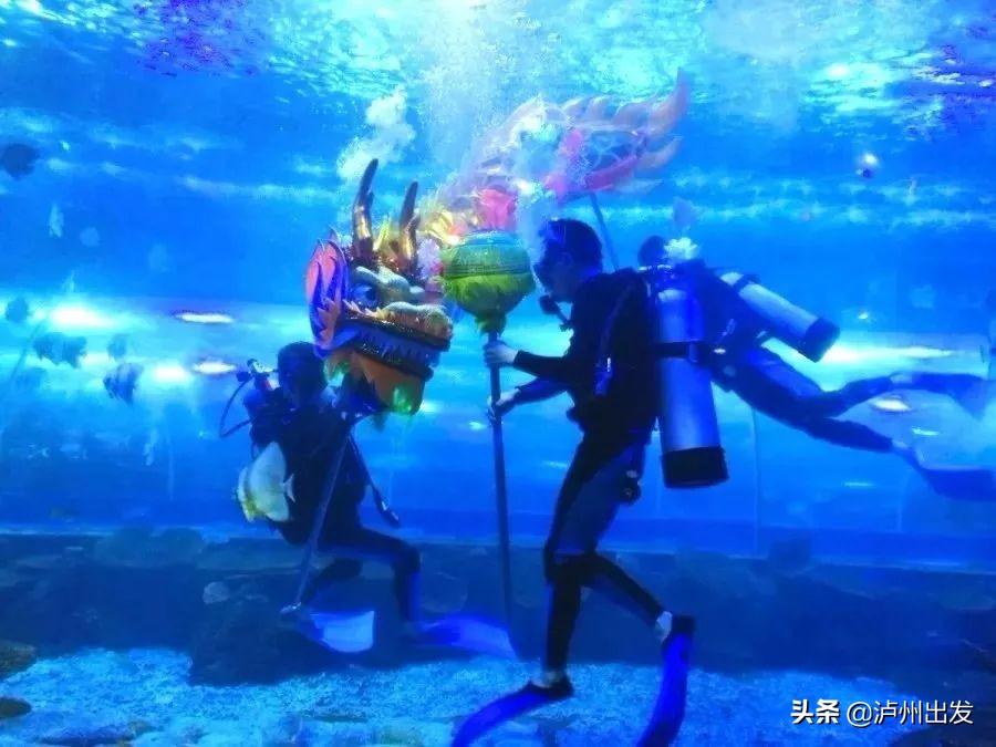 荣辱与共，权威揭晓，生肖共舞的智慧