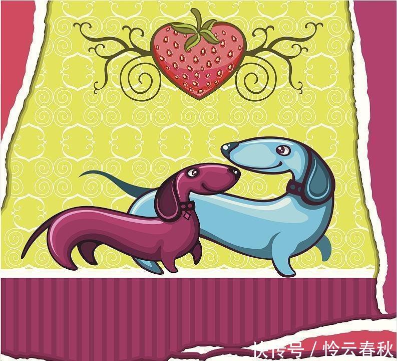 瑟瑟寒风中的生肖谜语，揭秘鼠的坚韧与智慧