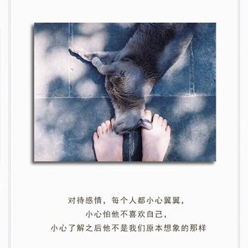 小心翼翼是什么生肖?词语解析解答落实