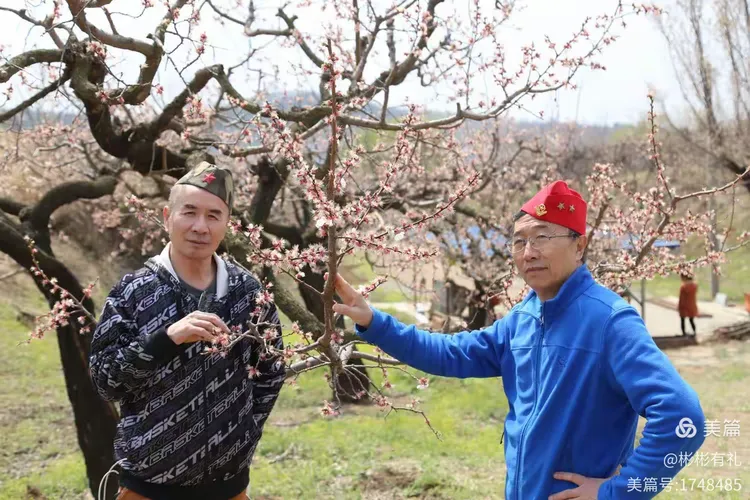 秀才元帅找杏花，生肖之谜的揭晓