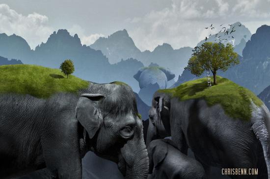 异想天开指什么生肖、专业解释落实