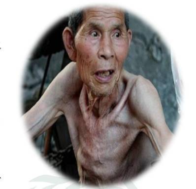 面黄肌瘦的生肖谜团，揭秘与解析