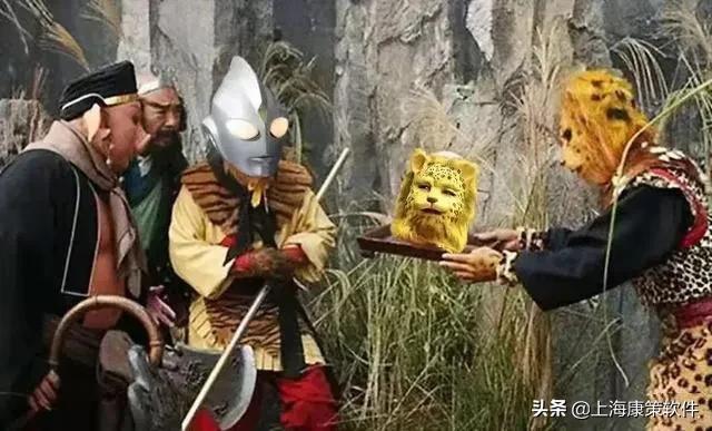 苦行赎罪，生肖鼠的独特修行之路与对决作答的落实解释