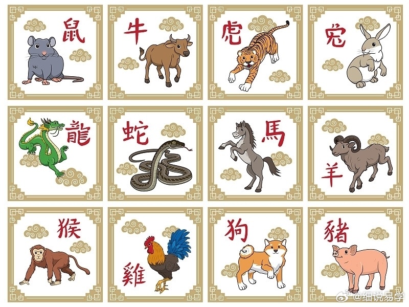优柔寡断与生肖之谜，揭秘最佳动物生肖的定量解读