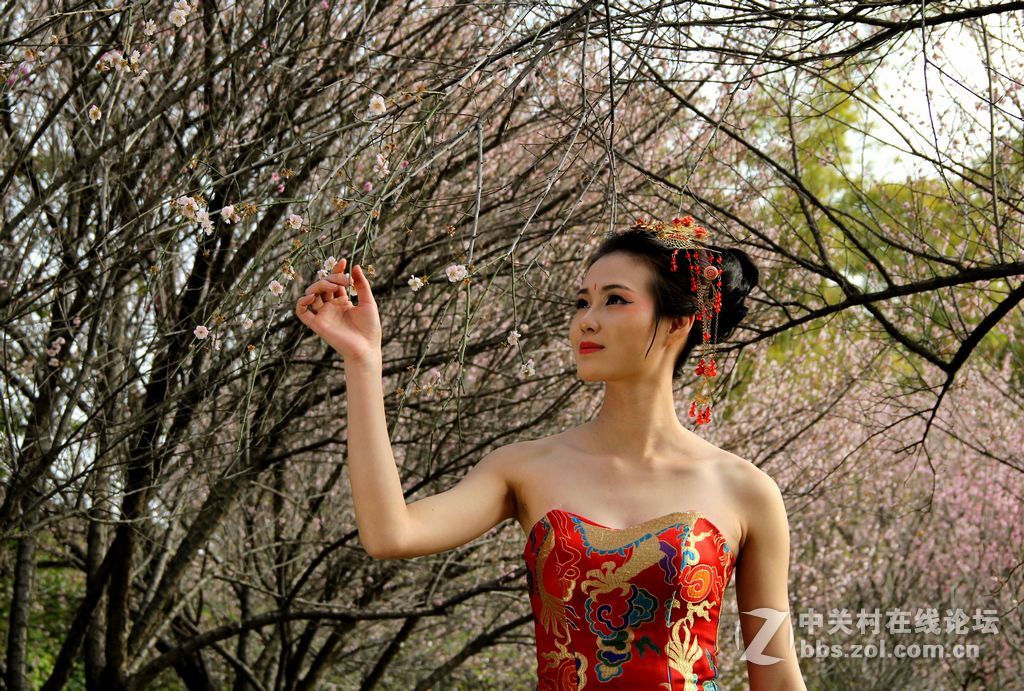 梅花美女与生肖之谜,一场神秘的文化解读 梅花美女与生肖之谜,一场神秘的文化解读