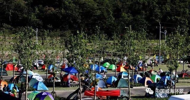 揭秘安营扎寨背后的生肖奥秘，答案与解释的深度剖析