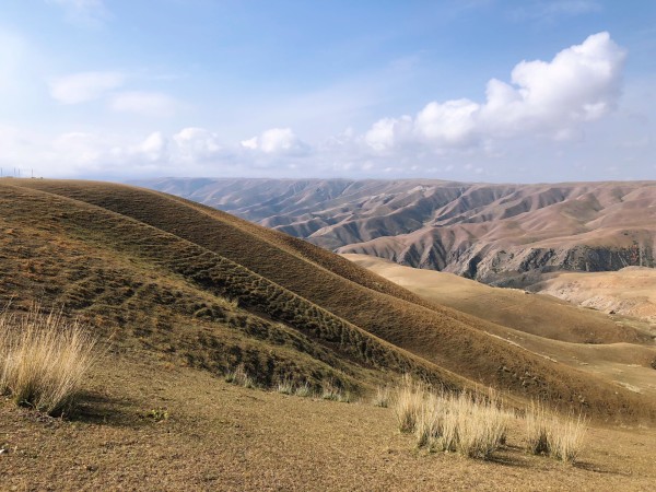 九曲十八转二五之间，揭秘生肖之谜