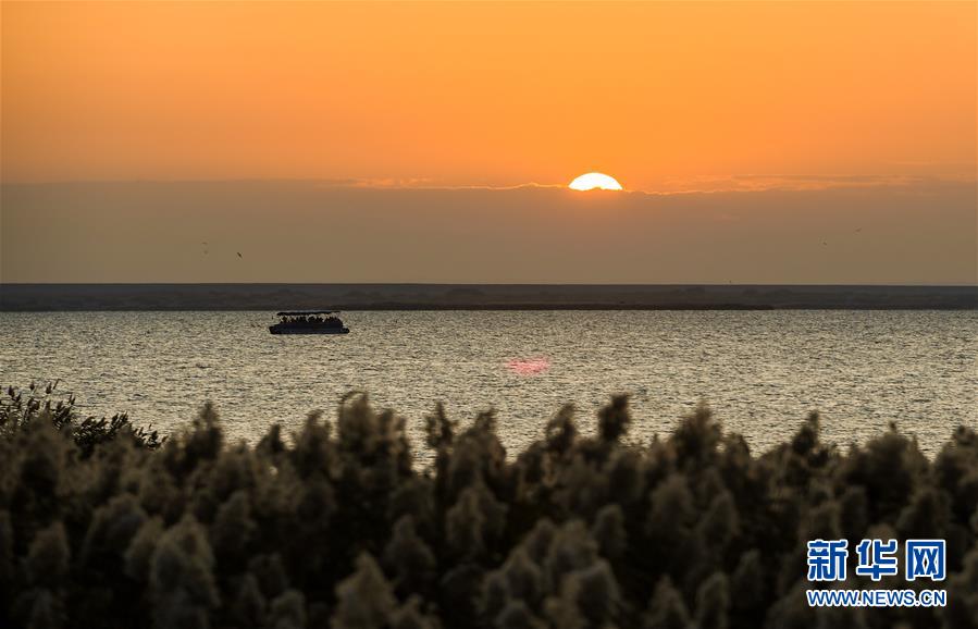 碧波荡漾，生肖之谜的最新解释与文化解读