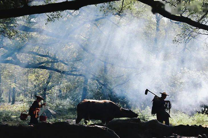 揭秘指山卖岭背后的生肖玄机，马，你的答案即将揭晓！