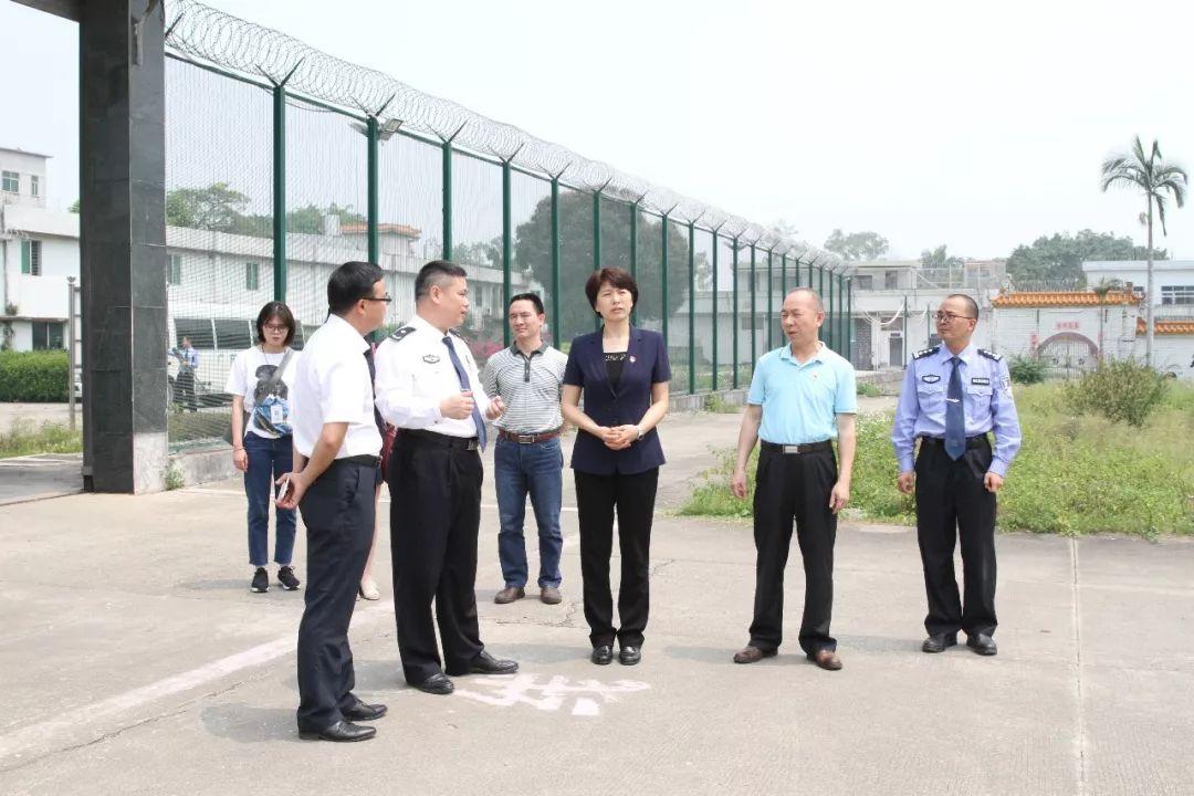 西风残照是什么生肖、合作解释落实