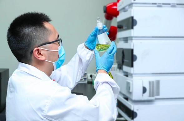 心急如焚的生肖谜题，解密与人生哲理的深度探索