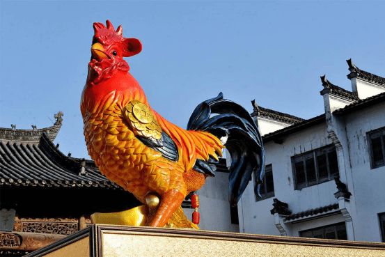 揭秘闻鸡起舞背后的生肖奥秘