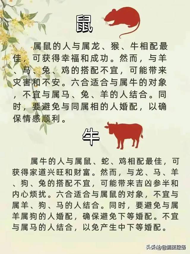 热火朝天—揭秘与生肖的精准联系