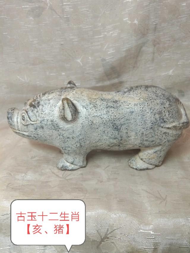 慎言慎行，揭秘最佳生肖的全面解读与落实