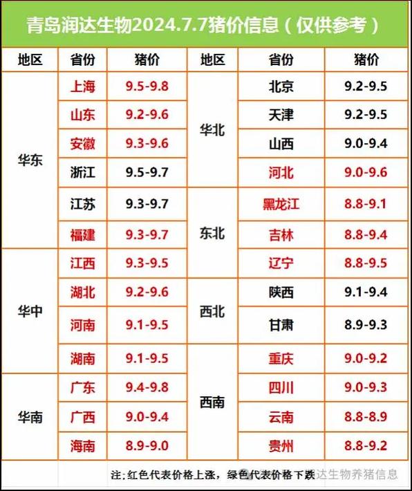 今日山东毛鸡价格，全面解析与市场动态