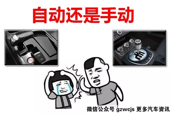 眼高手低，揭秘生肖中的马