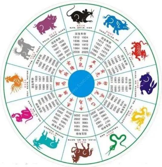 凤头猪肚，生肖中的智慧与哲理