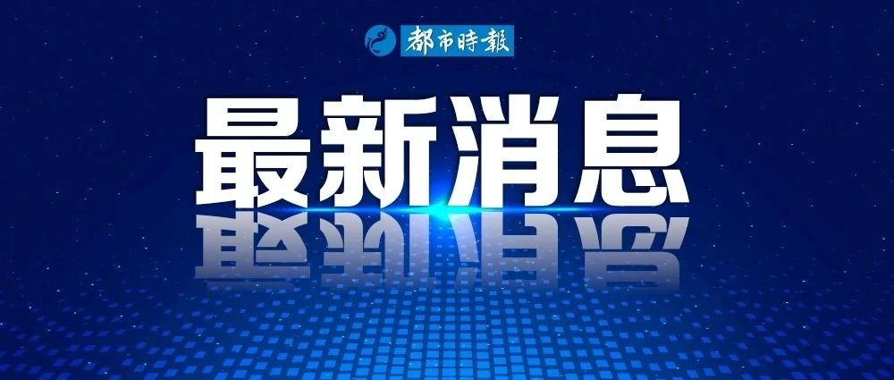 全面揭晓，万无一失的生肖谜题—最佳生肖的深度解析与落实策略