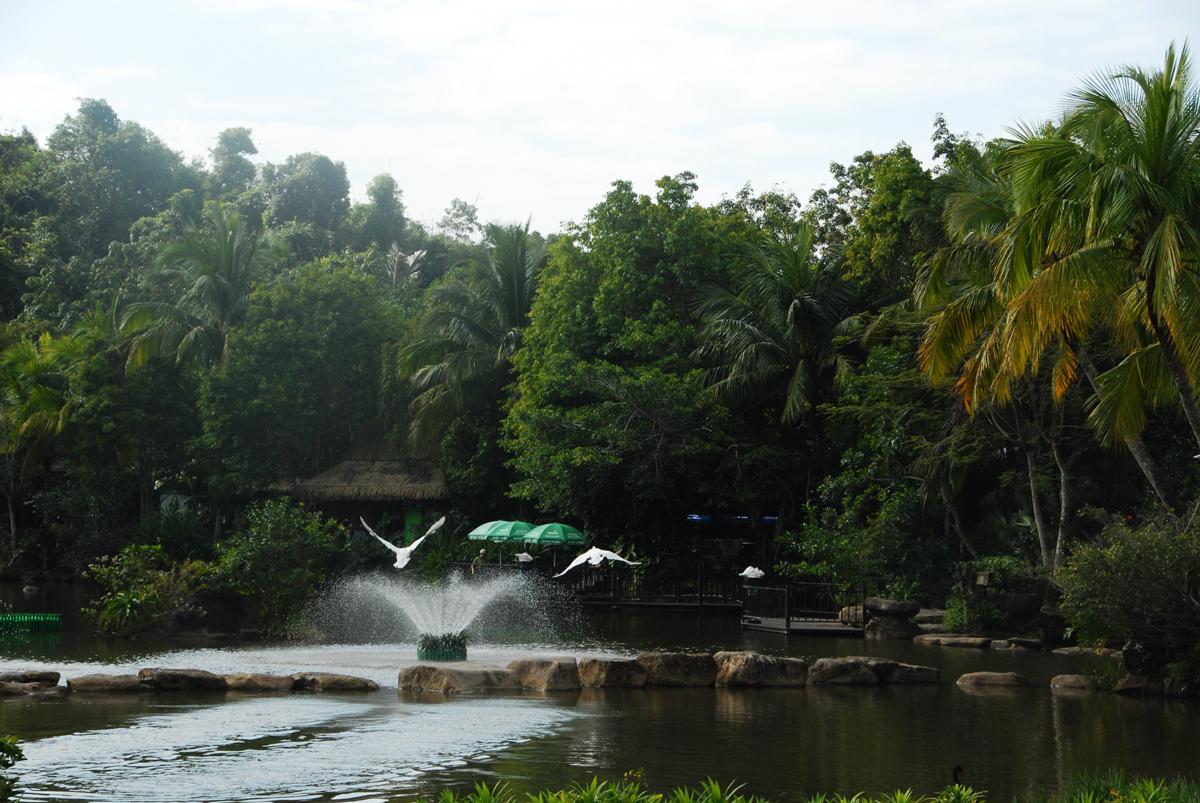 起居无时是什么生肖:精准解答落实