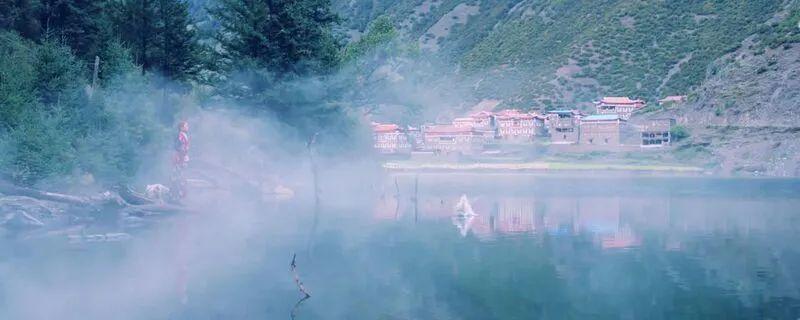 阳春白雪是什么生肖?成就解释落实