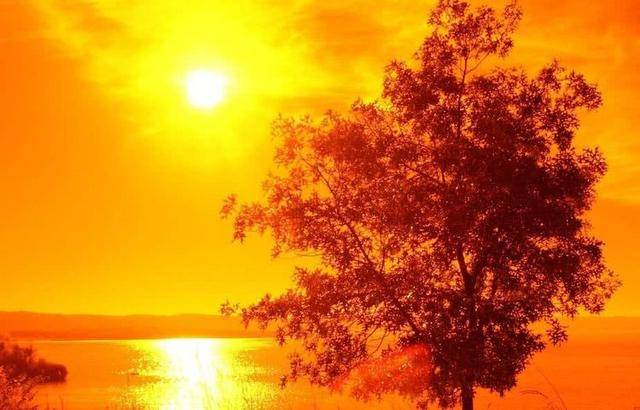 水储风絮夕阳天是什么生肖:答案解释落实