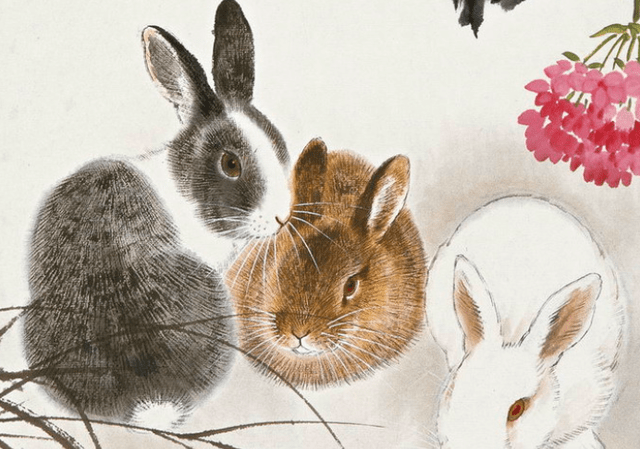 软弱无力是什么生肖、解析作答落实解释