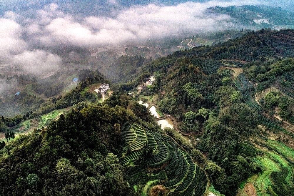 水送山迎的智慧与生肖之谜—揭秘最佳答案及答案解释落实