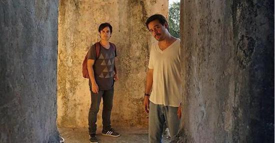 雪海冰山，自然奇观中的动物寓言与正面解释落实